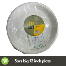 10 ON WHITE PULP PLAIN DISPOSABLE PLATES 12 INCHES